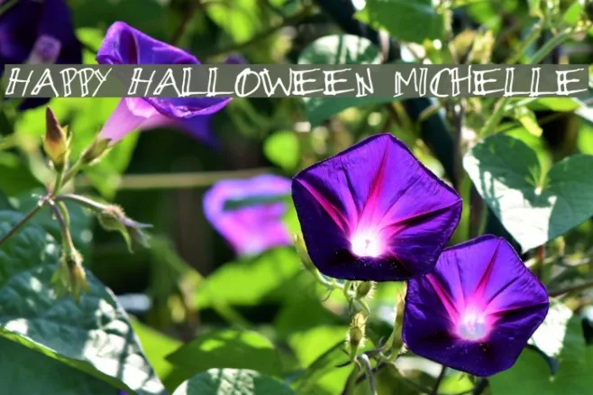 Happy Halloween Michelle Example 2