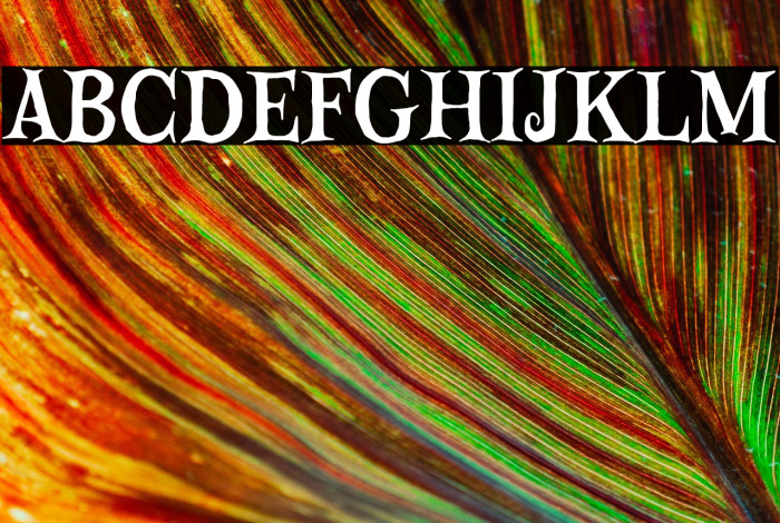 Happy Halloween Example 1