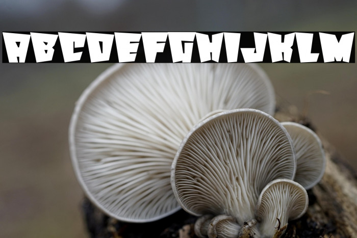 Happy Halloween Example 2