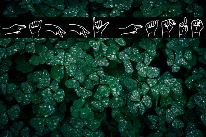 Happy Hands Example 3