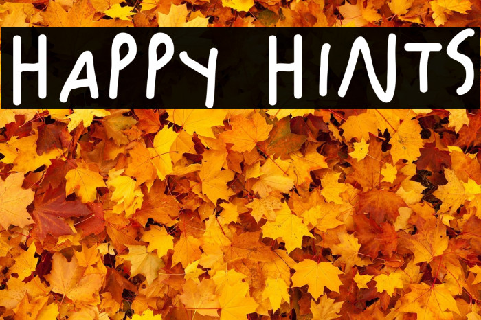 Happy Hints Example 2