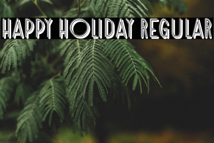Happy Holiday Regular Example 3