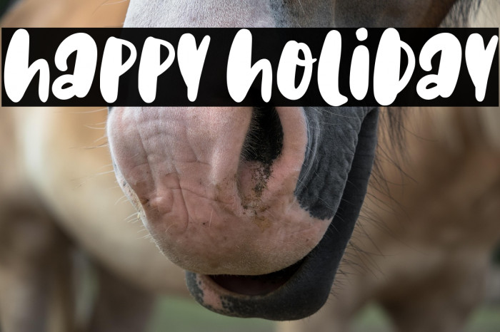 Happy Holiday Example 3