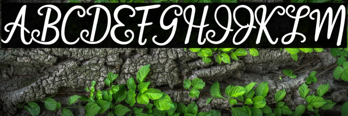 Happy Iness Example 2