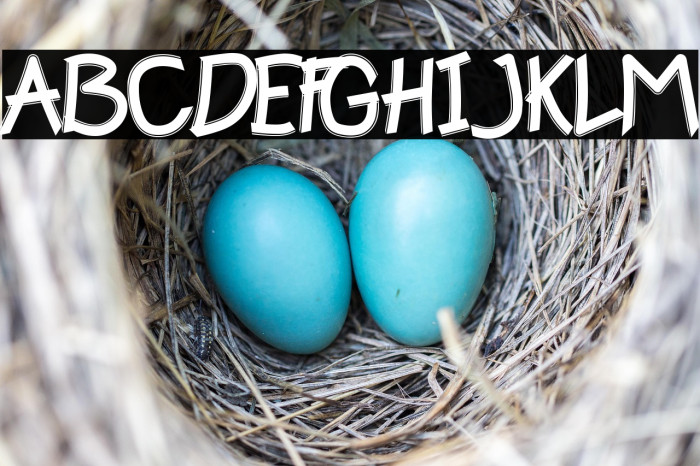 Happy Kids Example 1