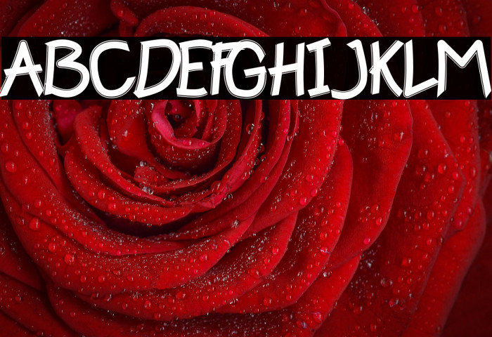 Happy Kids Example 2