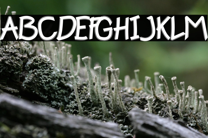 Happy Kids Example 3