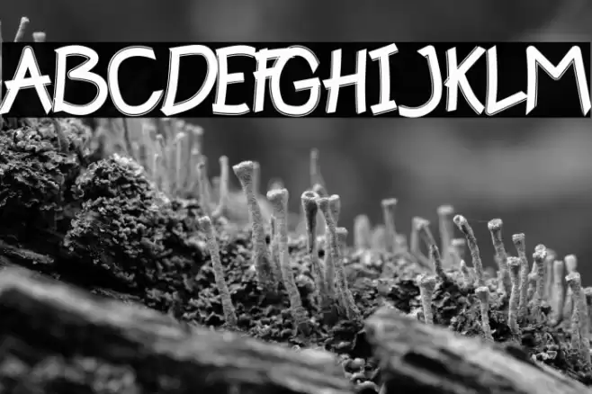 Happy Kids Font examples