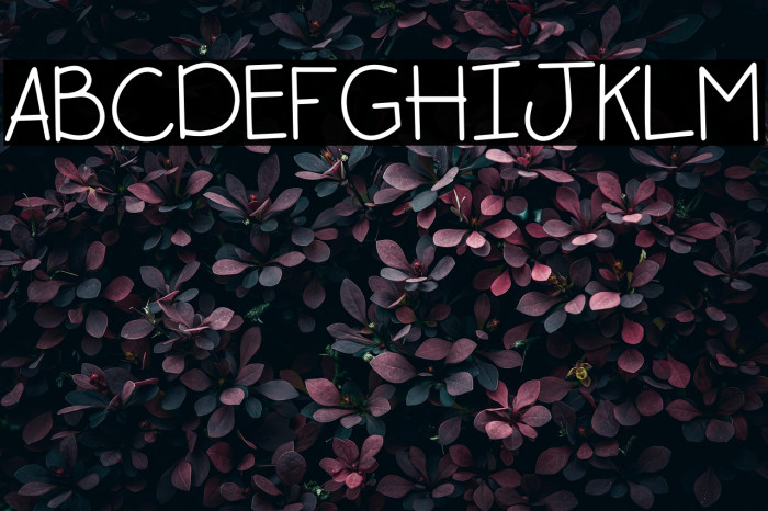 Happy Little Soul Example 1