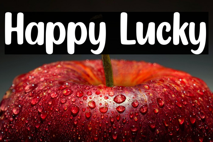 Happy Lucky Example 2