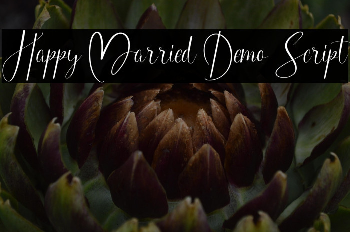 Happy Married Demo Script Example 2