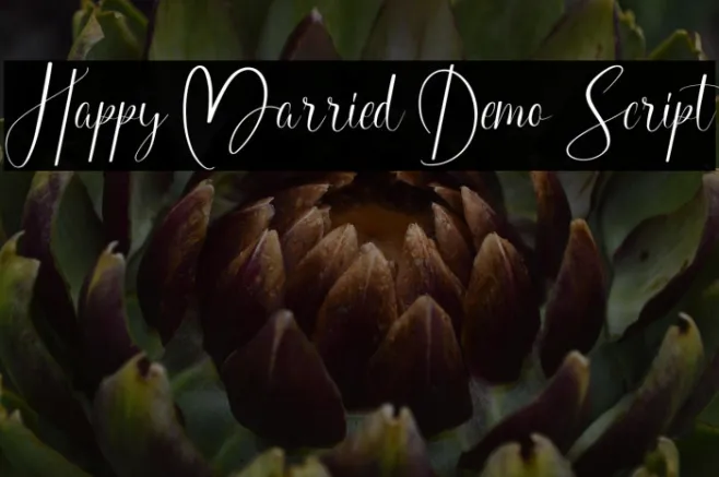 Happy Married Demo Script Example 2
