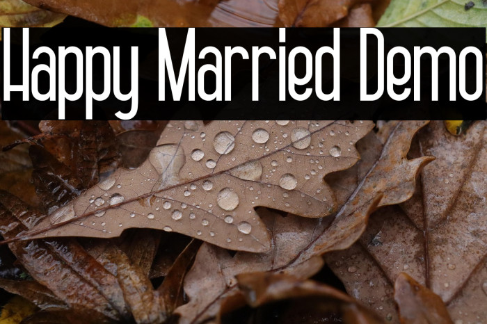 Happy Married Demo Example 2