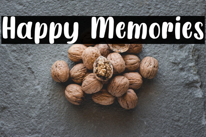 Happy Memories Example 3