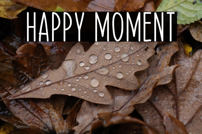 Happy Moment Example 2