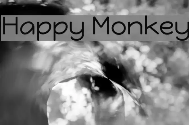 Happy Monkey Font examples