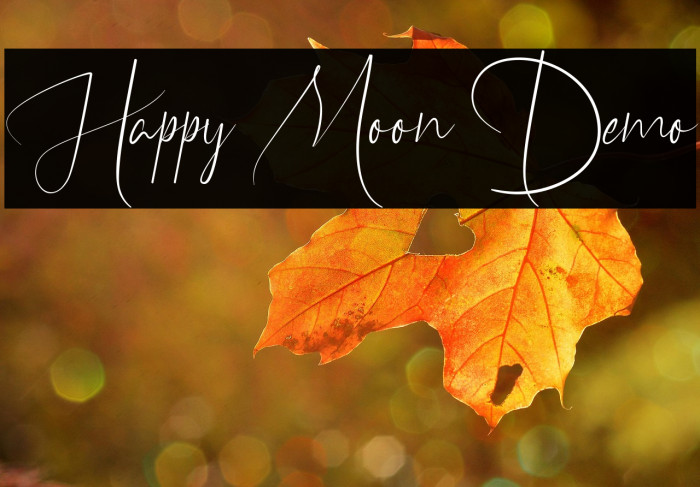 Happy Moon Demo Example 1