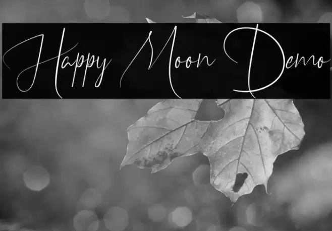 Happy Moon Demo Font examples