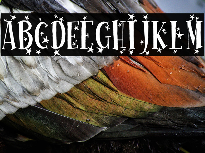 Happy New One Example 3