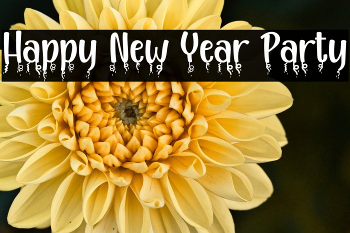 Happy New Year Party Example 1