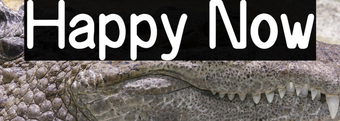 Happy Now Example 2
