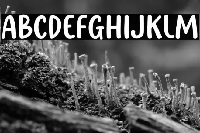 Happy Paradise Font examples