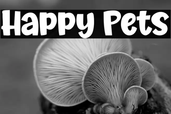 Happy Pets Font examples