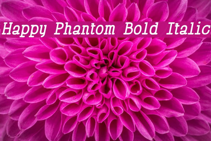 Happy Phantom Bold Italic Font examples