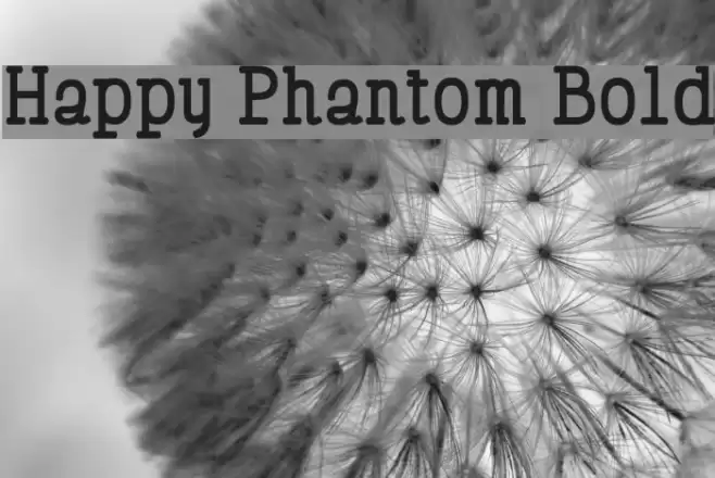Happy Phantom Bold Font examples