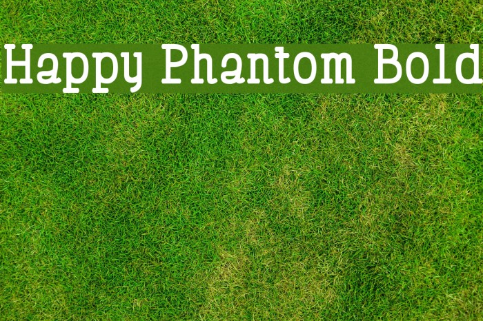 Happy Phantom Bold Font examples