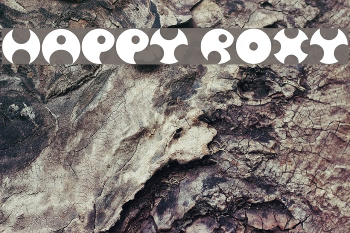 Happy Roxy Font examples