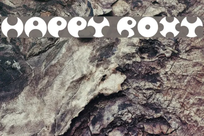 Happy Roxy Example 1