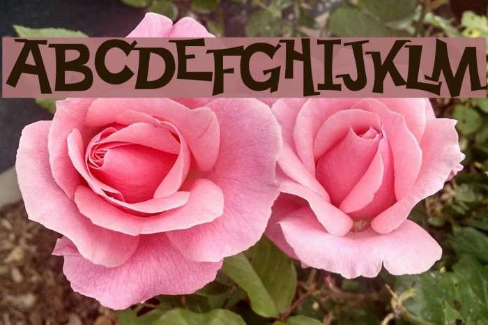 Happy Serif フォント examples