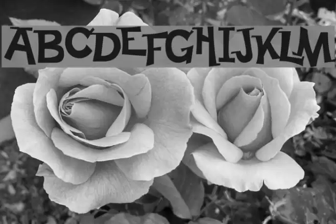Happy Serif フォント examples