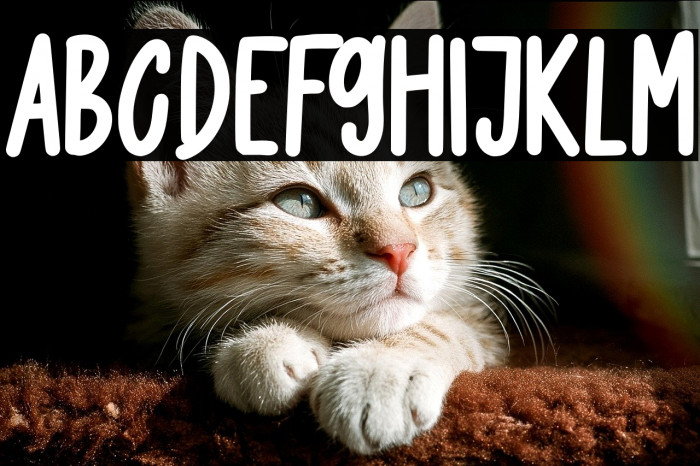 Happy Smile Example 1