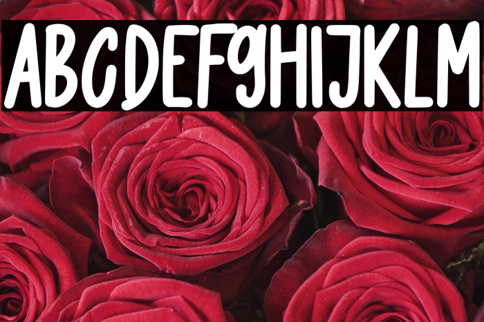 Happy Smile Example 3