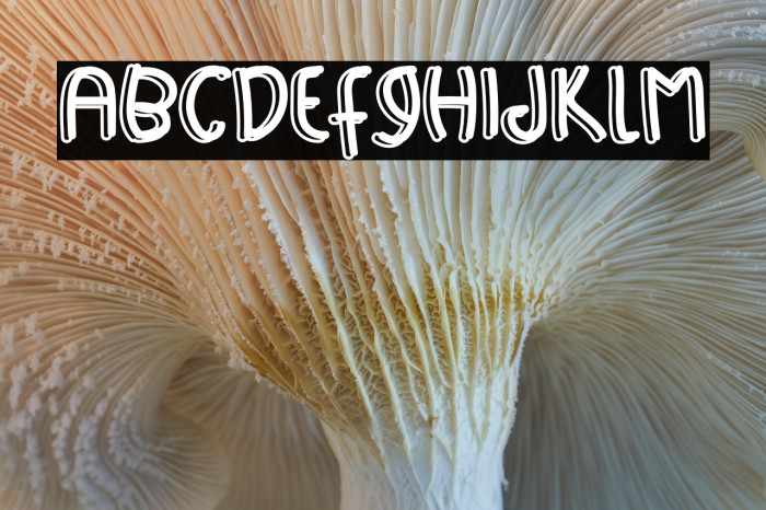 Happy Sport Example 2