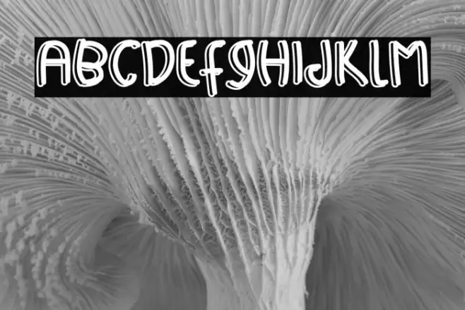 Happy Sport Font examples