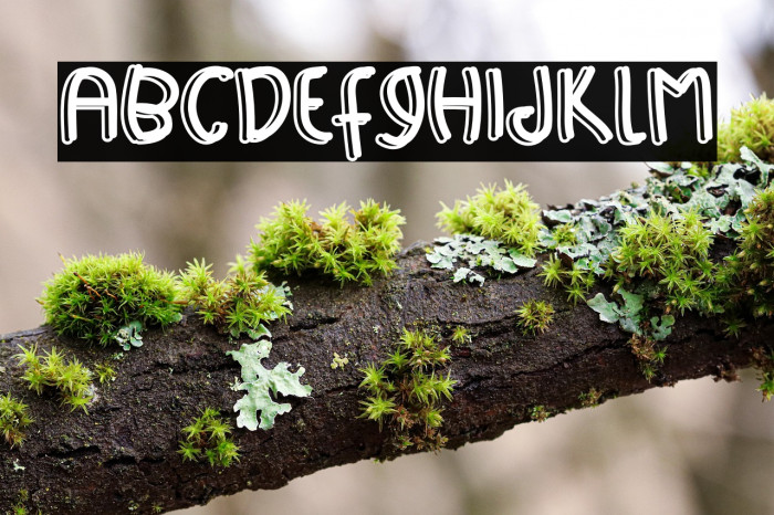 Happy Sport Example 3