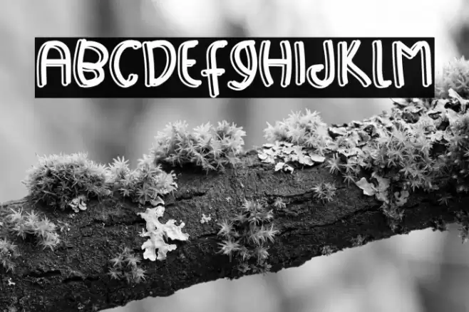 Happy Sport Font examples