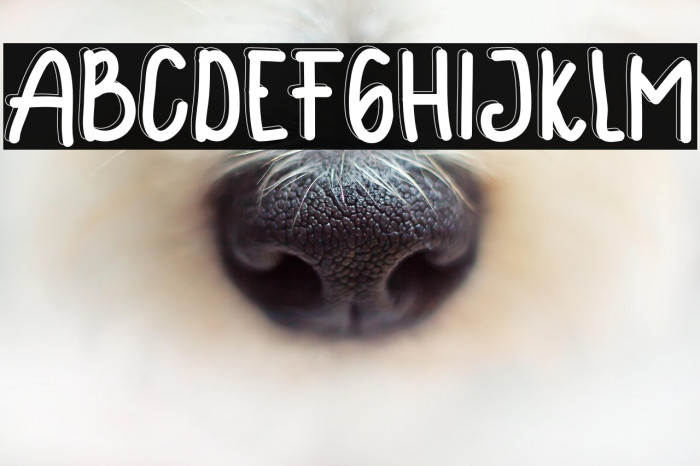 Happy Sunday 2 Example 1