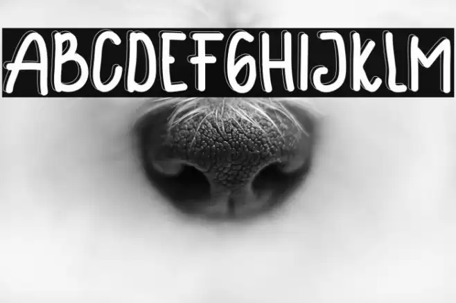 Happy Sunday 2 Font examples