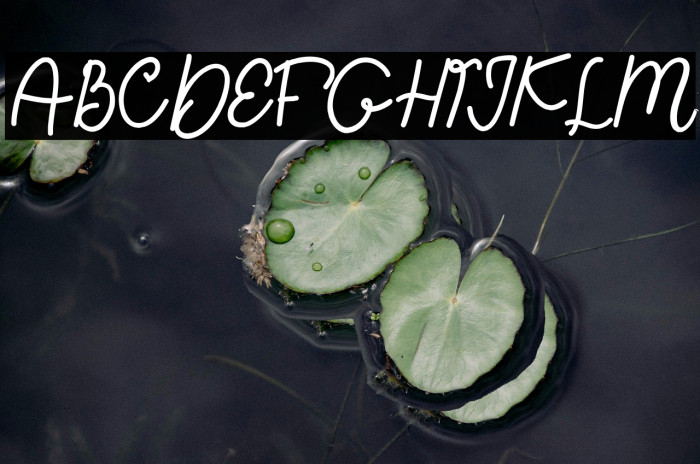 Happy Sweety Demo Example 2