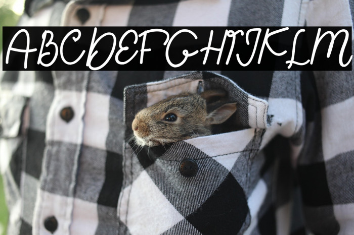 Happy Sweety Demo Example 3