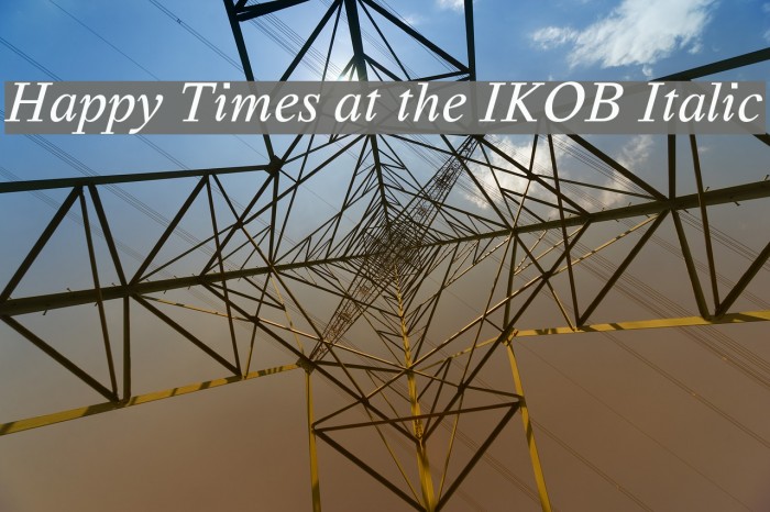 Happy Times at the IKOB Italic Font examples