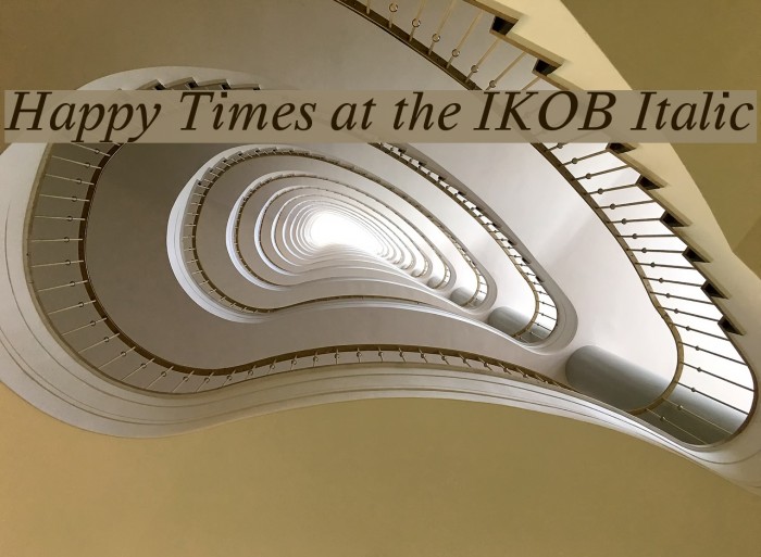 Happy Times at the IKOB Italic Font examples