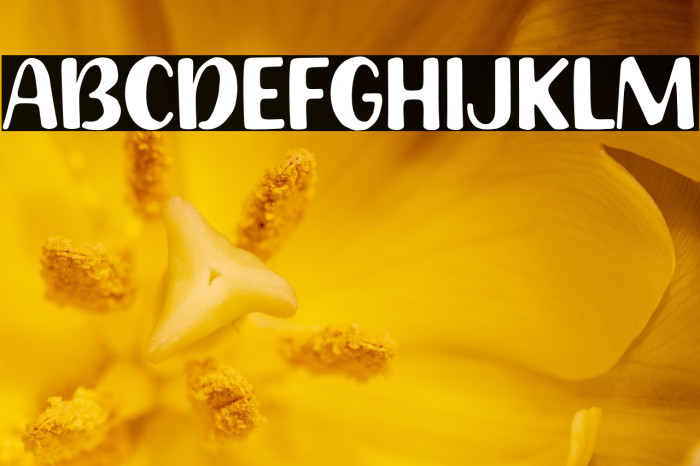 Happy Town Example 3