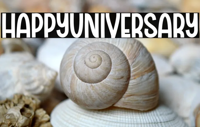 Happy Universary Example 2