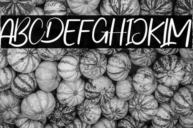 Happy Wedding Font examples