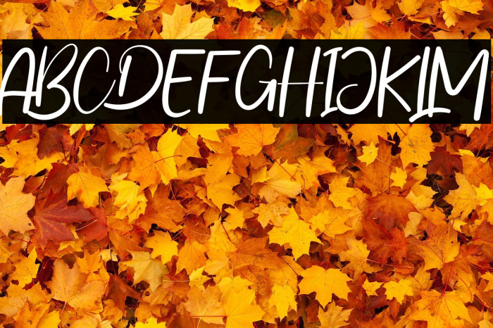 Happy Wedding Example 3